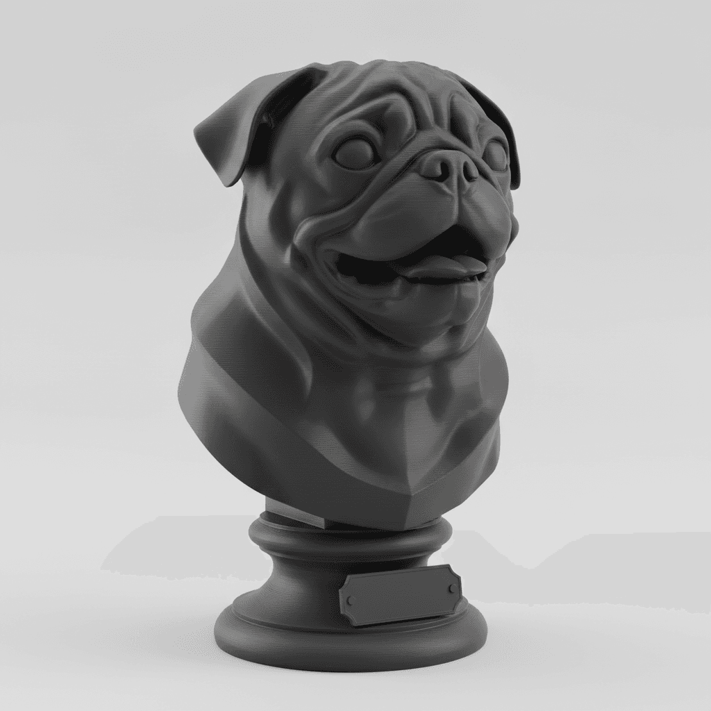 Busto Charcoal